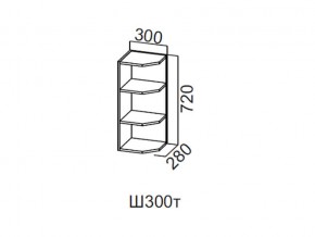 Ш300т/720 Шкаф навесной 300/720 (торцевой) в Пыть-Яхе - pyt-yah.магазин96.com | фото